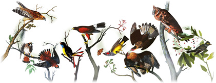 John James Audubon'un 226. doğum günü